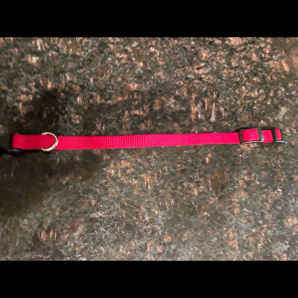 Small Red Nylon Leash - Picture 4 of 8